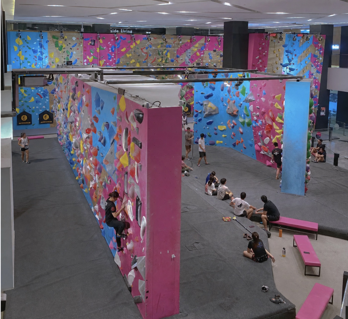 Climbing at BFF Climb Bendemeer